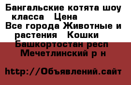 Бангальские котята шоу класса › Цена ­ 25 000 - Все города Животные и растения » Кошки   . Башкортостан респ.,Мечетлинский р-н